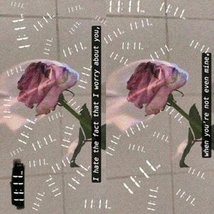 Meet your Posher, Bella